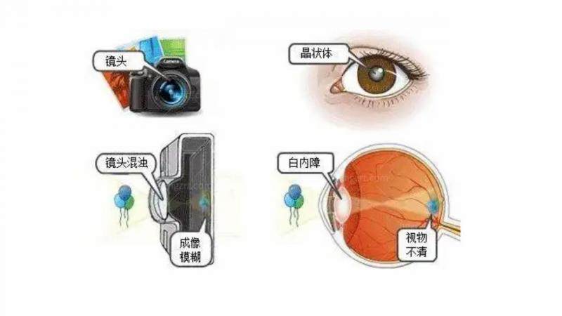 韩国S&B眼科地址电话营业时间