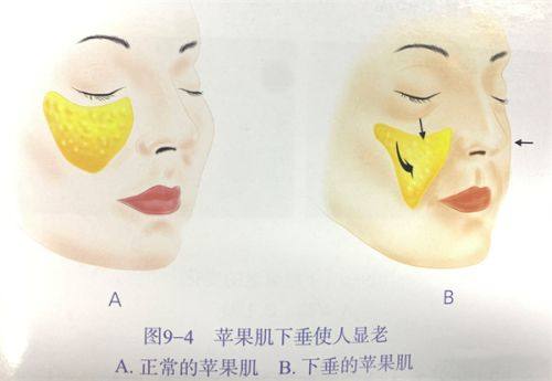 横滨艾芙医院是正规医院吗？