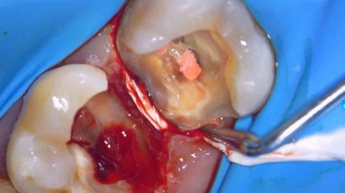 深圳曹显口腔诊所地址电话营业时间