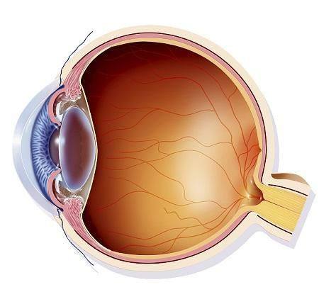 山东亮康眼科医院医生团队实力强大及骨干医生简介