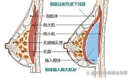 天津滨海新区怡贝德尚医疗美容门诊部真人口碑评价怎么样?