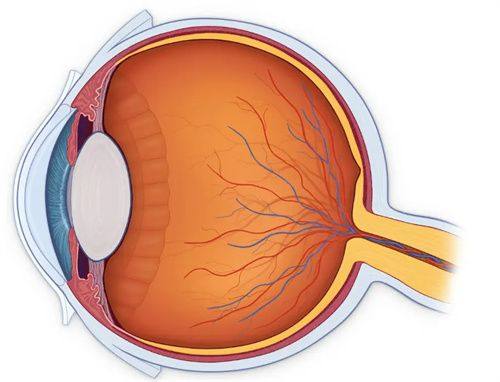 开封市人民医院眼科是正规医院吗？