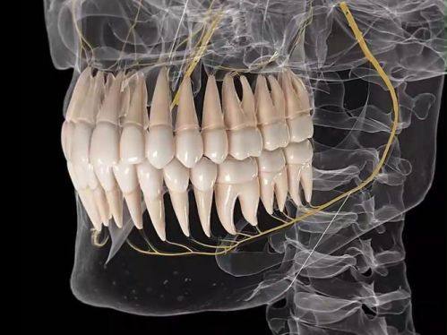 江苏常州博元口腔是正规医院吗?