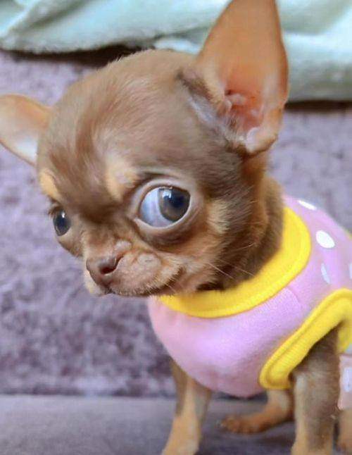 浙大二院眼科中心怎么样