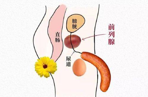 厦门大学附属第一医院地址电话营业时间