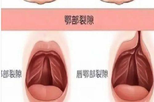 天津市芝洺医疗美容门诊地址电话营业时间