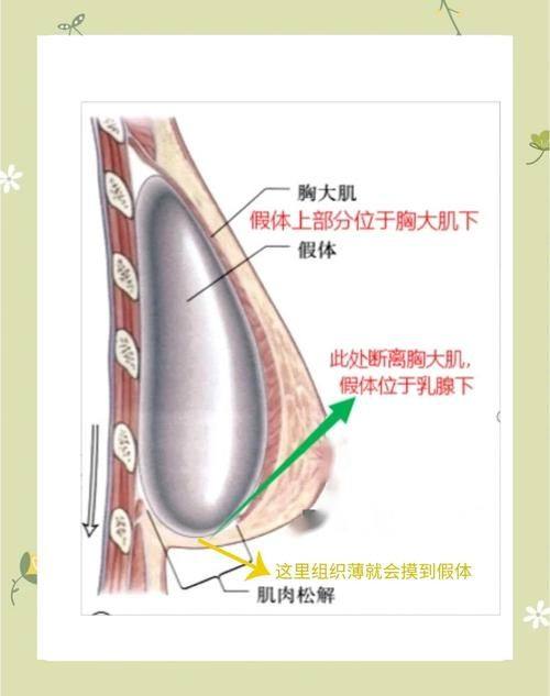 西安美托邦医疗美容地址电话营业时间
