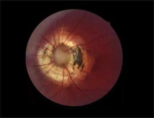 苏州科技城医院是正规医院吗？