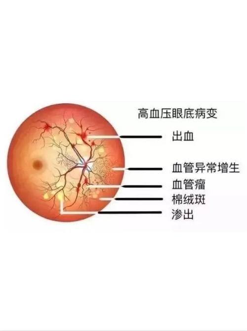 岳阳市中 心医院眼科真人口碑评价怎么样？