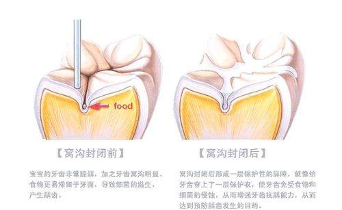 浙江大学医学校附属口腔医院口腔正畸学科医生团队实力强大及骨干医生简介