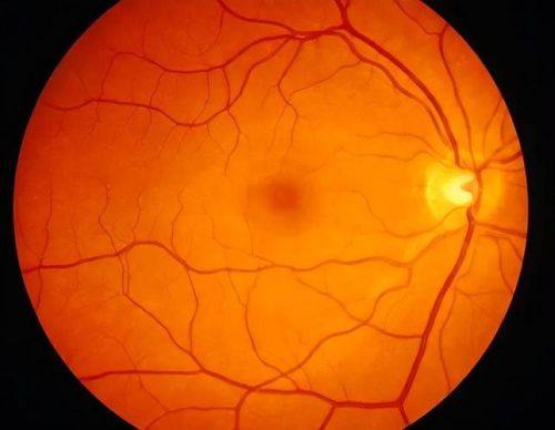 鞍山市长大医院眼科详细的预约挂号方式及流程