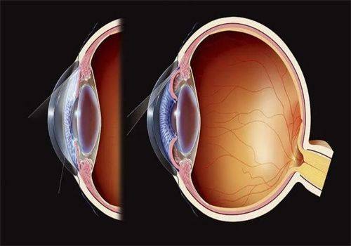 厦门黄岩整形美容门诊部收费价格表/收费标准