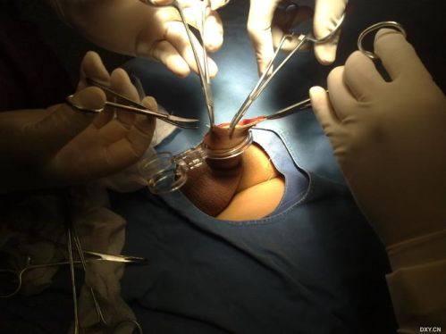 厦门黄岩整形美容门诊部地址电话营业时间