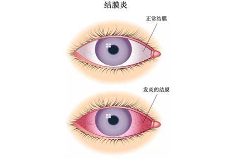 吕品医生擅长项目