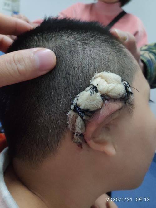 北京佰嘉利医疗美容诊所地址电话营业时间