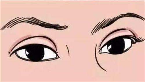 口碑评价及真人实例