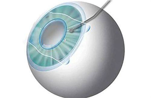 何欣医生执医荣誉