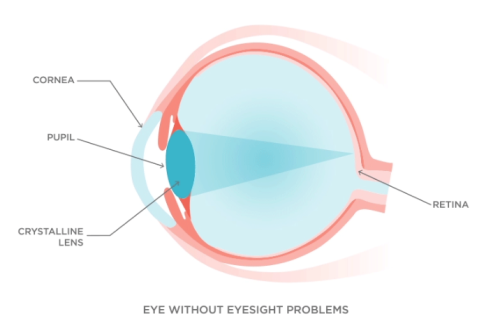 何欣医生预约挂号