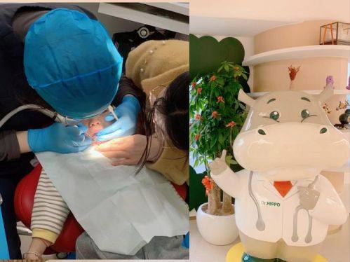 北京欢乐西诺美口腔门诊部医生团队实力强大及骨干医生简介