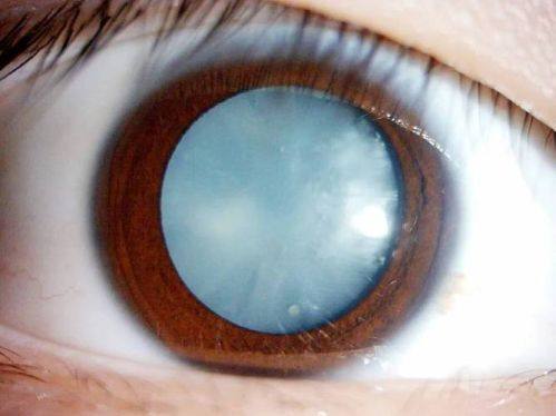 吕品医生价格表