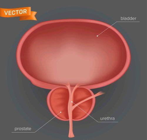 襄阳爱尚美整形医院是正规医院吗？