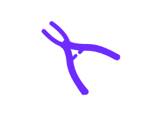 云南大理宾川县桔子口腔特色项目及技术优势