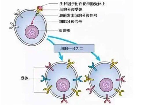 苏州德真会诊所真人口碑评价怎么样？