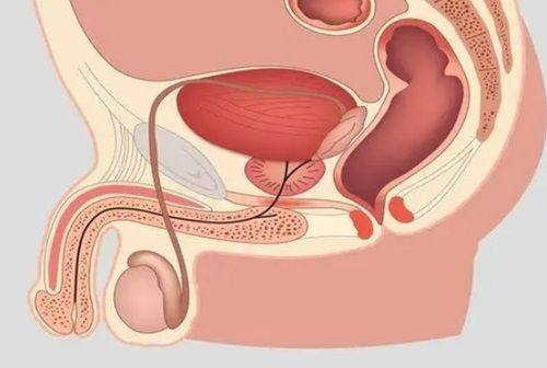 乐清奥拉克医疗美容诊所详细的预约挂号方式及流程