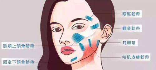 苏州德真会诊所特色项目及技术优势