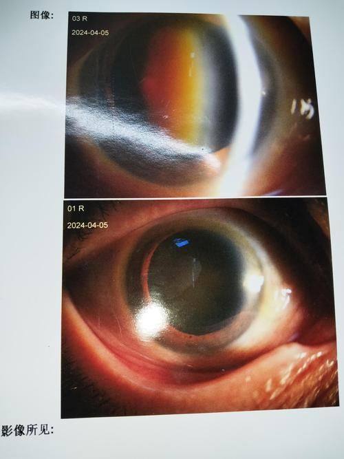 山西太原环球视光地址电话营业时间