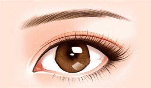 XX医院地址电话营业时间