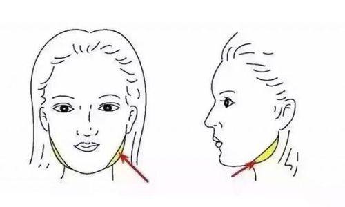 内蒙古巴彦淖尔市医院特色项目及技术优势