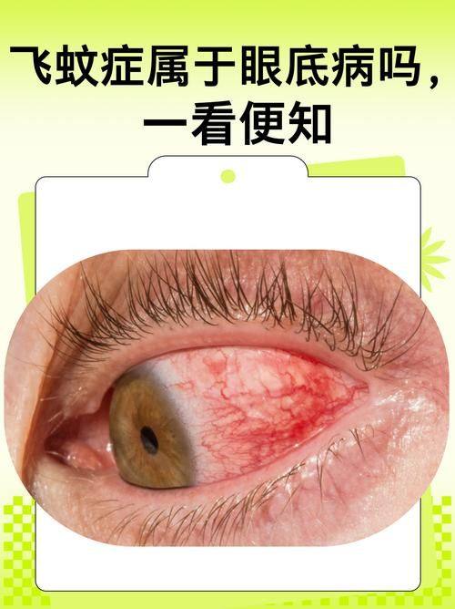 赤峰市第二医院眼科详细的预约挂号方式及流程