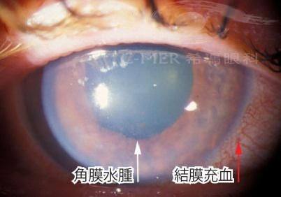 赣州启明星眼科医院医生团队实力强大及骨干医生简介