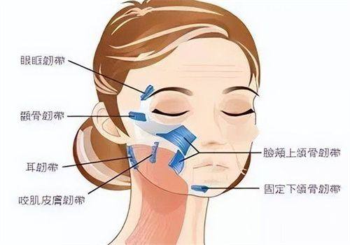 舟山伊美尔医疗美容医院是正规医院吗?