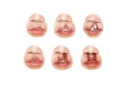 广西医 科 大学第一附属医院整形美容外科收费价格表/收费标准