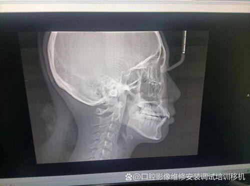 湖南常德汉寿博又爱口腔收费价格表/收费标准