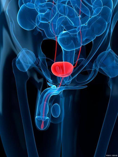 福州省立医院真人口碑评价怎么样？
