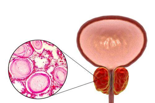 福州省立医院收费价格表/收费标准