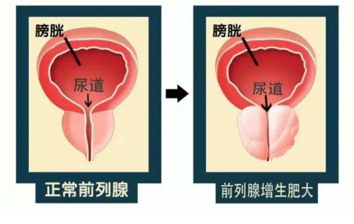 福州省立医院医生团队实力强大及骨干医生简介