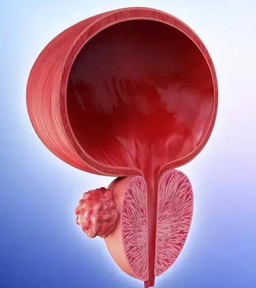 福州省立医院详细的预约挂号方式及流程