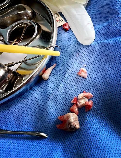 重庆合川吉美口腔地址电话营业时间