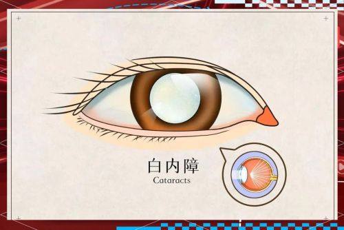 河北省儿童医院眼科是正规医院吗？