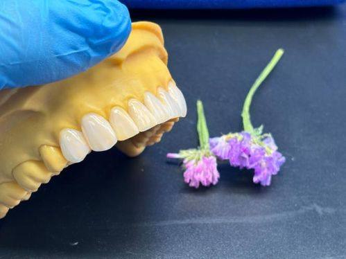 深圳尔睦口腔医生团队实力强大及骨干医生简介