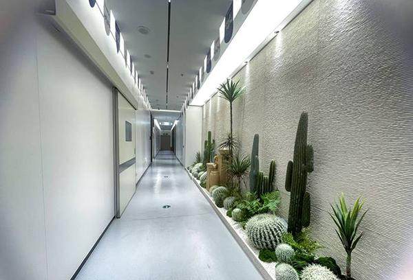 厦门登特口腔医院（海沧店）