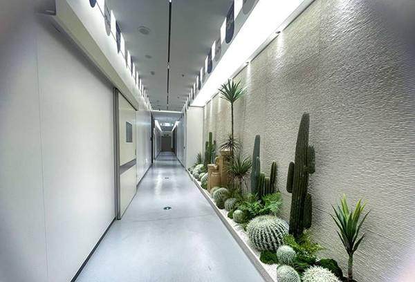 厦门登特口腔医院（海沧店）真人口碑评价怎么样？