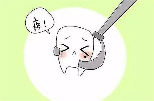 海阳志举口腔收费价格表/收费标准