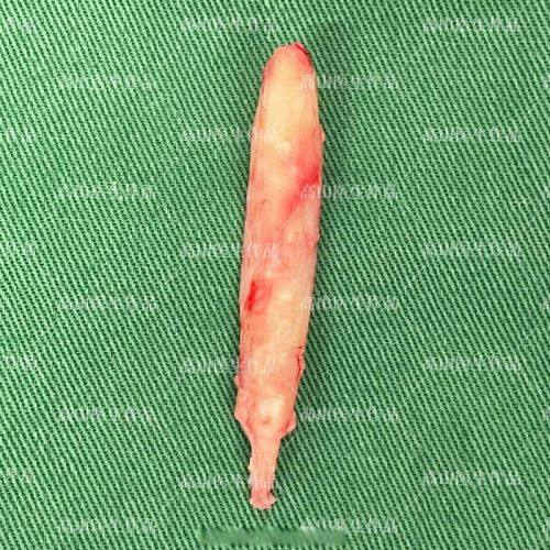 心美眼整形外科医生团队实力强大及骨干医生简介