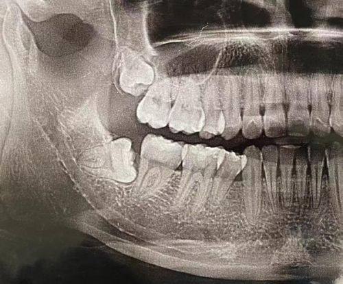 东莞市益美东口腔地址电话营业时间