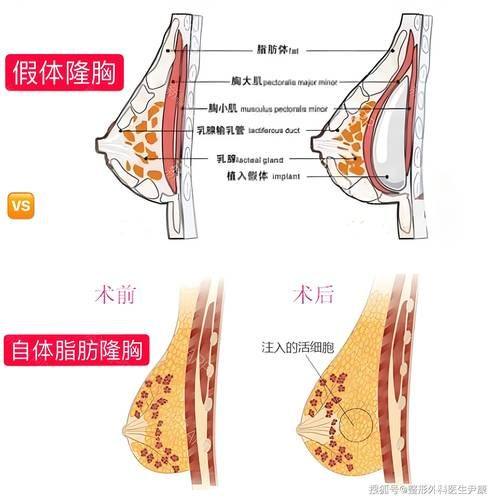 北京瑞丽舍医学美容机构是正规医院吗?